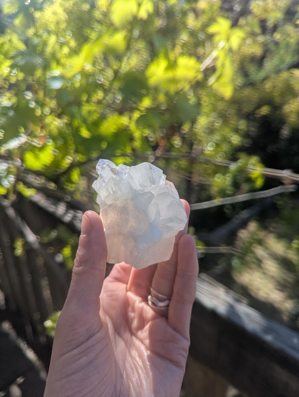 Clear Quartz Cluster